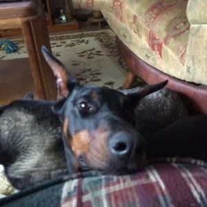 Meet your Posher, Anita